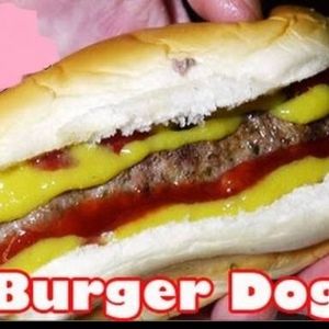 imagem do produto Dog-burguer