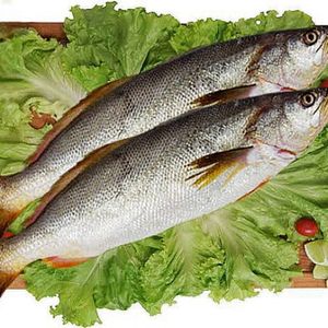 imagem do produto Pescada cambucu fresco