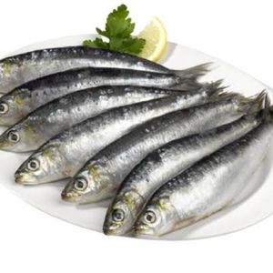 imagem do produto Sardinha inteira congelada