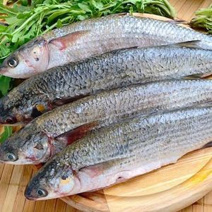 imagem do produto Tainha fresca