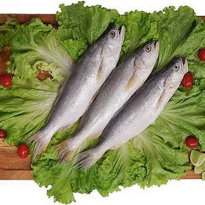 imagem do produto Pescada branca fresco