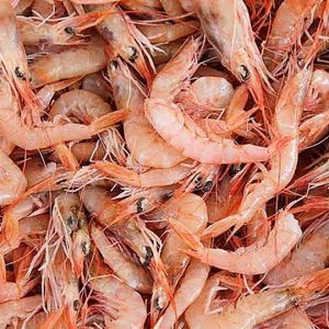 imagem do produto Camarão sete barba sem casca