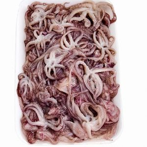 imagem do produto Tentáculos de Lula nacional 