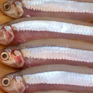 imagem do produto Manjuba