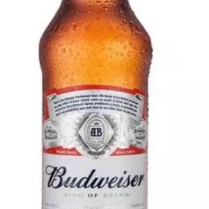 imagem do produto Budweiser 