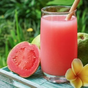 imagem do produto SUCO GOIABA