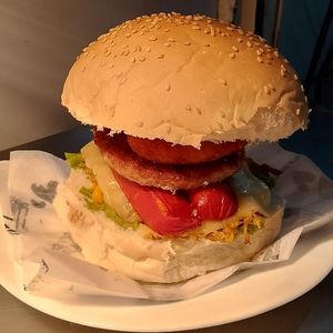 imagem do produto DK TUDO 