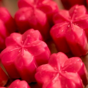 imagem do produto Bombom Flor de Sakura