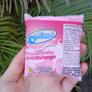 imagem do produto Sorvete chantillynho morango
