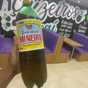 imagem do produto Mineiro 2l