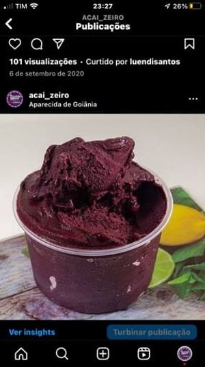 imagem do produto Açaizeiro 1 litro