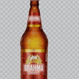 imagem do produto Cervejas litrao