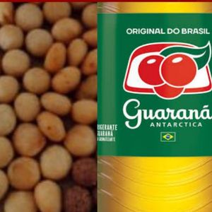 imagem do produto 30 salgadinhos + guaraná antártica 1L