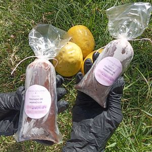 imagem do produto Dindin Gourmet Premium trufado de maracujá 