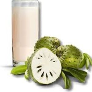 imagem do produto suco de graviola 300ml