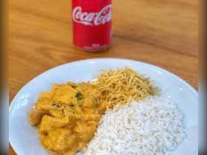 imagem do produto Quentinha media Estrogonofe de frango + Coca-Cola 350 ml