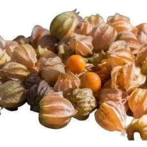 imagem do produto GOLDEN BERRY (PHYSALIS)