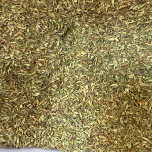 imagem do produto ALECRIM DO CAMPO