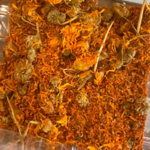 imagem do produto CALENDULA EM FLOR