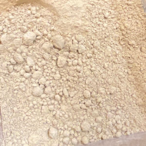 imagem do produto CASTANHA DA INDIA PO