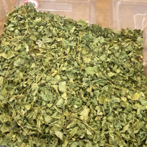 imagem do produto MORINGA FOLHA