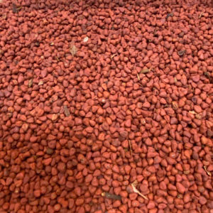 imagem do produto SEMENTE URUCUM