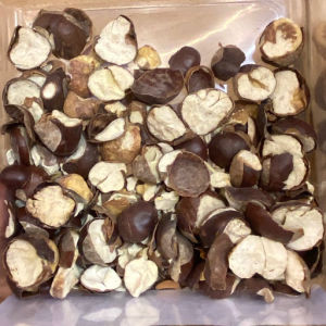 imagem do produto CASTANHA DA INDIA QUEBRADA