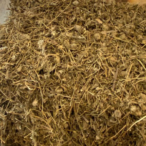 imagem do produto SETE SANGRIAS DO NORTE