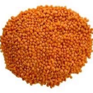 imagem do produto LENTILHA VERMELHA