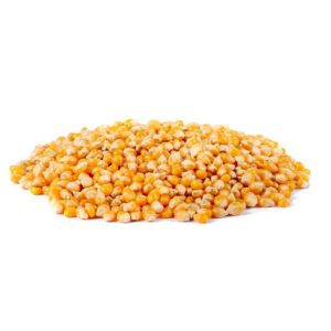 imagem do produto MILHO PIPOCA MUSHROOM GOUMERT
