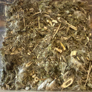 imagem do produto CARDO SANTO FOLHA