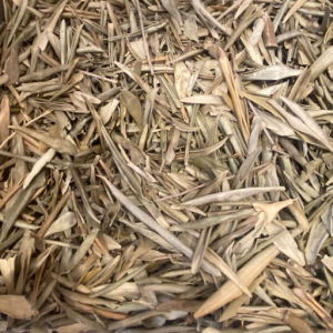imagem do produto OLIVEIRA FOLHA