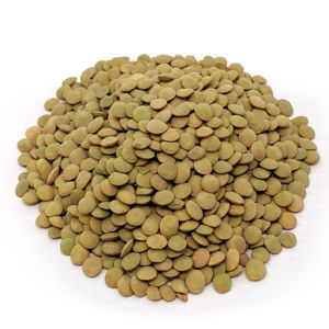 imagem do produto LENTILHA VERDE CANADENSE