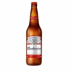 imagem do produto Budweiser - 600ml
