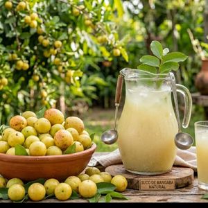 imagem do produto Jarra de suco de mangaba(750ml)
