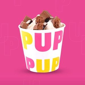 imagem do produto UP Maxx de Leite Ninho