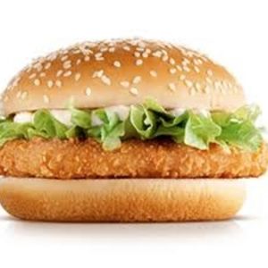 imagem do produto X-Tudo empanado de frango 