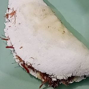 imagem do produto TAPIOCA MISTA