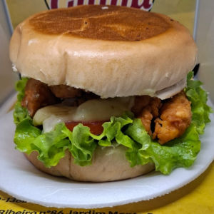 imagem do produto X FRANGO CROCANTE