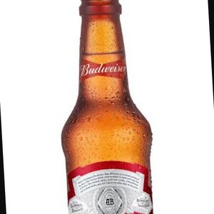 imagem do produto Budweiser 600 garrafa RETORNÁVEL ↪️↩️ 