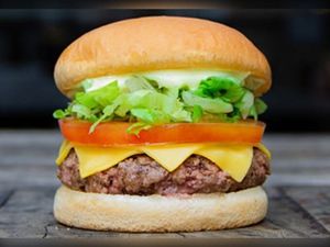 imagem do produto Burger Salada