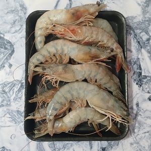 imagem do produto Camarão Pistola 'XG' 