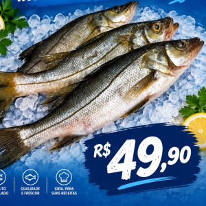 imagem do produto Robalo inteiro fresco Kg