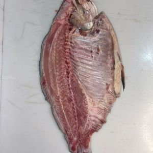 imagem do produto Bamda de Tambaqui kg