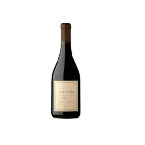 imagem do produto DV CATENA PINOT / PINOT NOIR 2022 750ML  