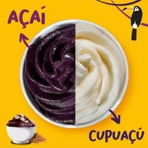 imagem do produto CASADINHO ( 80% de açaí +20% de cupuaçu)