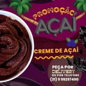 imagem do produto CREME DE AÇAÍ PREMIUM (somente açaí)