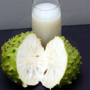 imagem do produto Suco GRAVIOLA