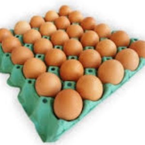 imagem do produto OVOS VERMELHO MÉDIO 
