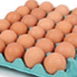 imagem do produto O OVOS VERMELHO JUMBO